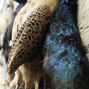 The King's Head Inn - A Cotswold Pub With A Local, Seasonal Menu